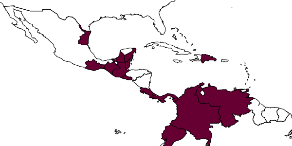 map of Tropicharis cecivora     Hansson, 1998